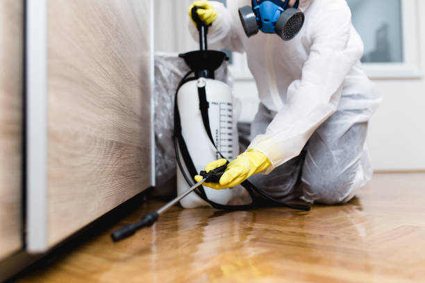 Best Best Pest Control Companies  in South Charleston, WV