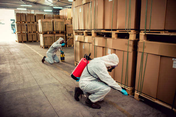 Best Ant Control Services  in South Charleston, WV