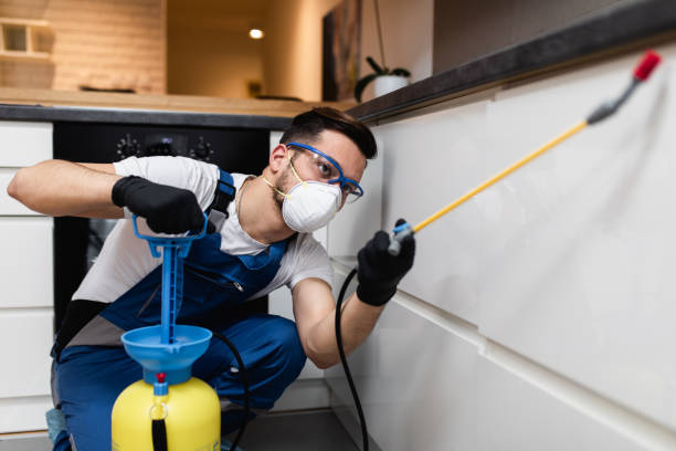 Best Pest Control Near Me in South Charleston, WV
