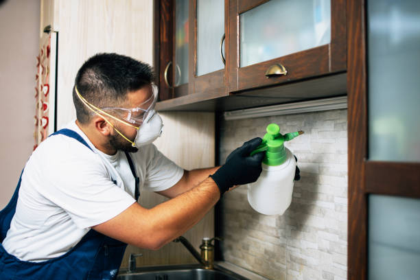 Best Bed Bug Extermination  in South Charleston, WV