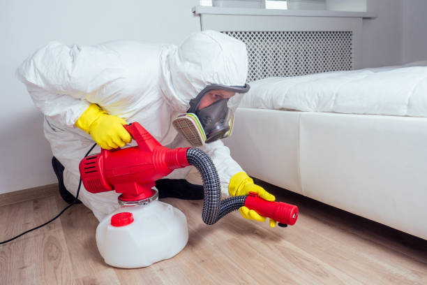 Best Wasp Removal Services  in South Charleston, WV