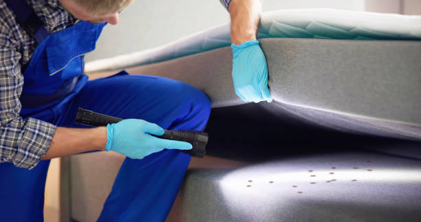 Best Best Pest Control Companies  in South Charleston, WV