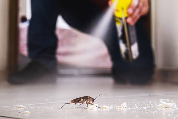 Trusted South Charleston, WV Pest Control Experts